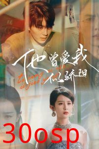 他曾爱我似骄阳