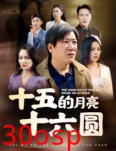 十五的月亮十六圆60集