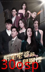 明星老婆的贴身保镖