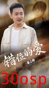 错位的爱第2部