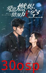 爱意燃尽情深成空