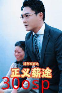 过年回家之正义薪途