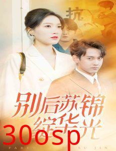 别后苏锦绽华光