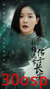 红梅遮雪佑子长安