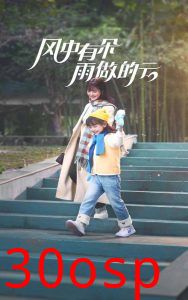 风中有朵雨做的云短剧