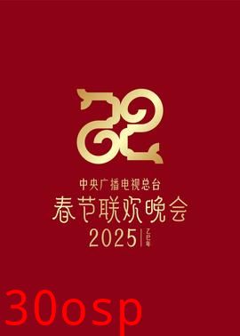 2025年央视春节联欢晚会