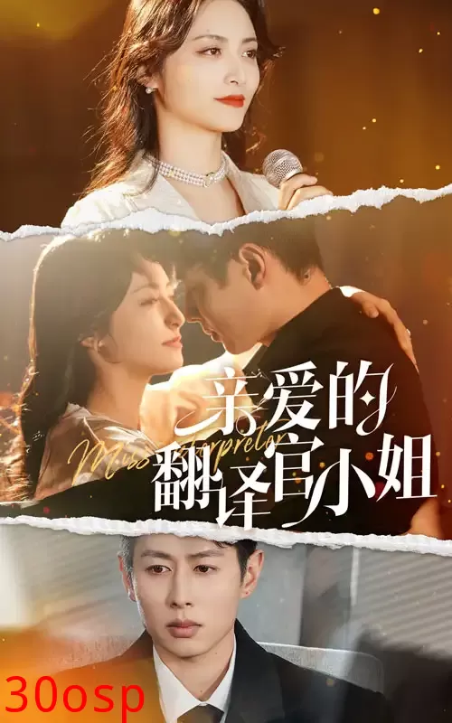 亲爱的翻译官小姐