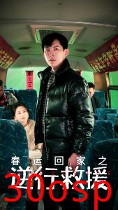 春运回家之逆行救援