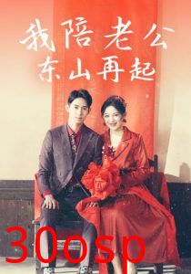 我陪老公东山再起