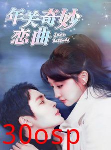 租个钻石男友回家过年