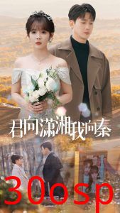 君向潇湘我向秦