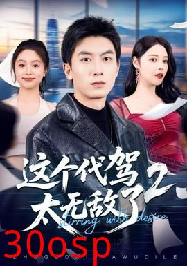 这个代驾太无敌了2