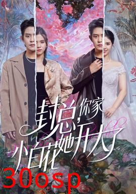 封总，你家小白花她开大了