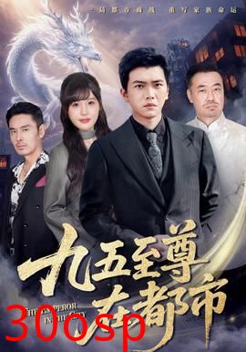 九五至尊在都市