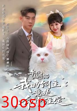 午夜缅因猫我的饲主竟是命中注定