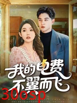 我的电费不翼而飞