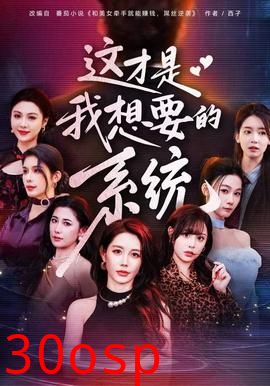 这才是我想要的系统