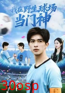我在野生球场当门神