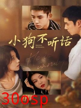 小狗不听话