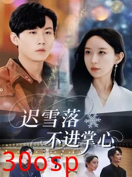 迟雪落不进掌心