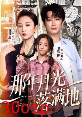 那年月光落满地