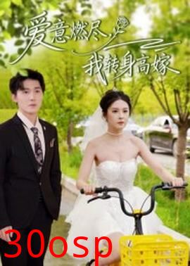 爱意燃尽，我转身高嫁