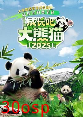 成长吧！大熊猫2025