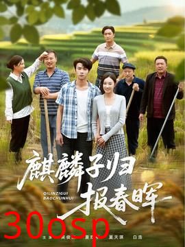 麒麟子归报春晖