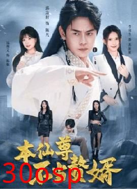 本仙尊不当赘婿