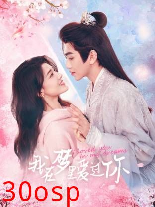 我在梦里爱过你