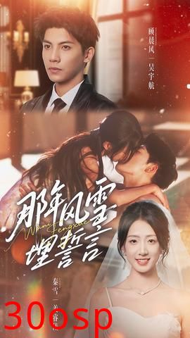 那年风雪埋誓言