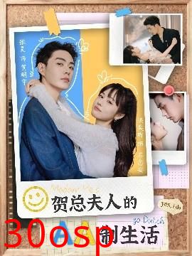 贺总夫人的AA制生活