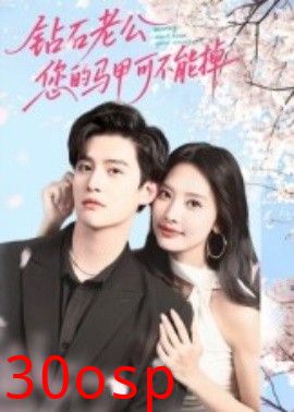 钻石老公，您的马甲不能掉