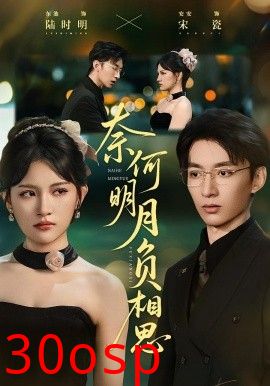 奈何明月负相思