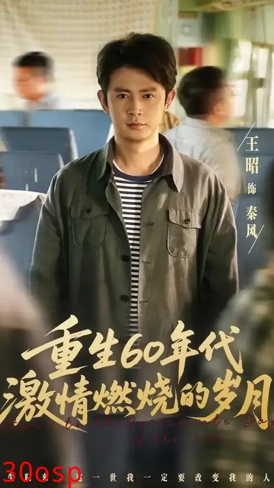 重生60年代激情燃烧的岁月