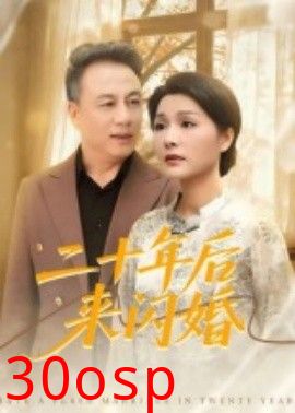二十年后来闪婚