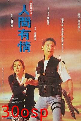 飞虎精英之人间有情粤语