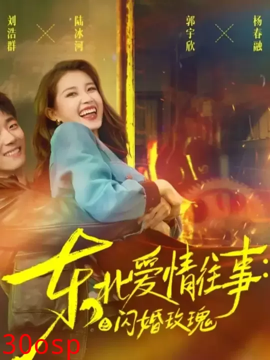 东北爱情往事闪婚玫瑰