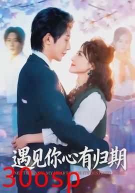 遇见你心有归期