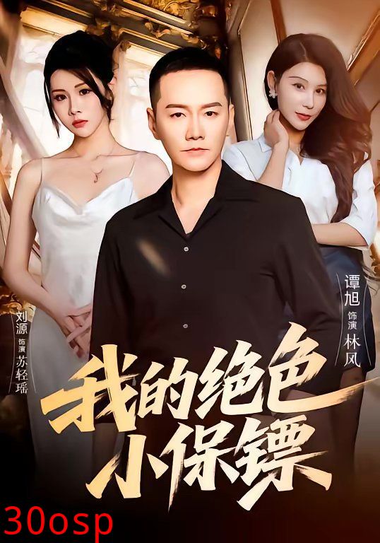 我的绝色小保镖