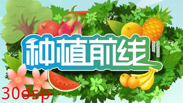 种植前线2026