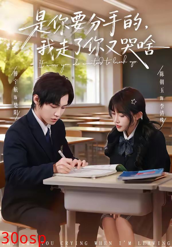 是你要分手的，我走了你又哭啥