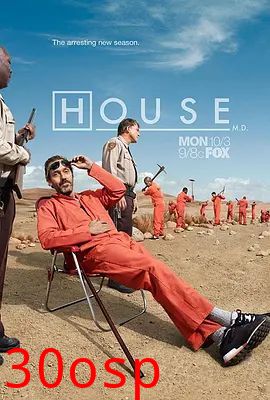 豪斯医生完季特别篇：天鹅挽歌