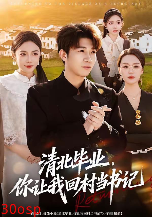 清北毕业，你让我回村当书记