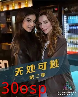 无处可逃 第二季