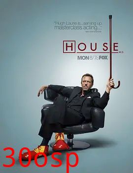 豪斯医生第七季