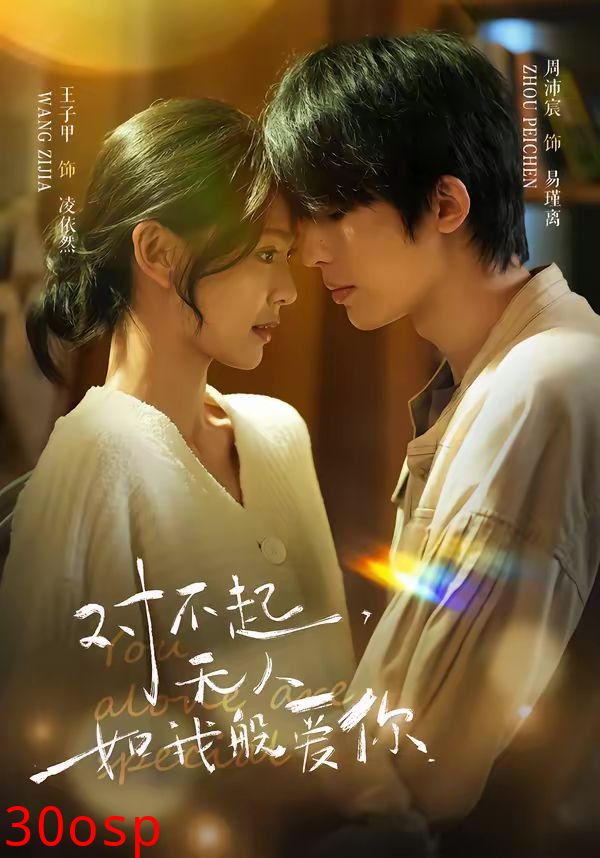 对不起，无人如我般爱你