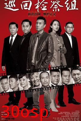 巡回检察组