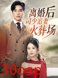 离婚后司少追妻火葬场