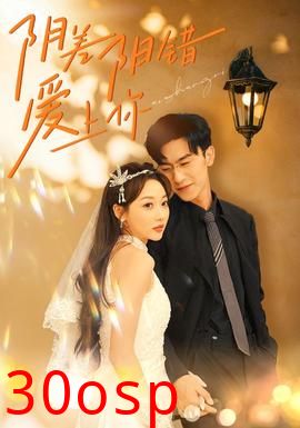 阴差阳错爱上你